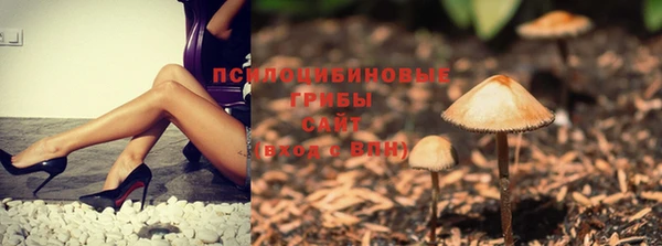 бошки Нея