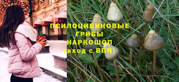 бошки Нея