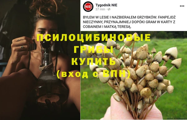 jwh Нефтекумск